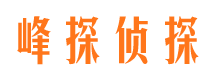 临武市调查公司